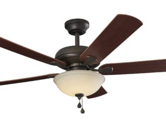 ceiling fan with lights